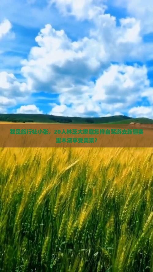 我是旅行社小张，20人林芝大家庭怎样自驾游去新疆赛里木湖享受美景？