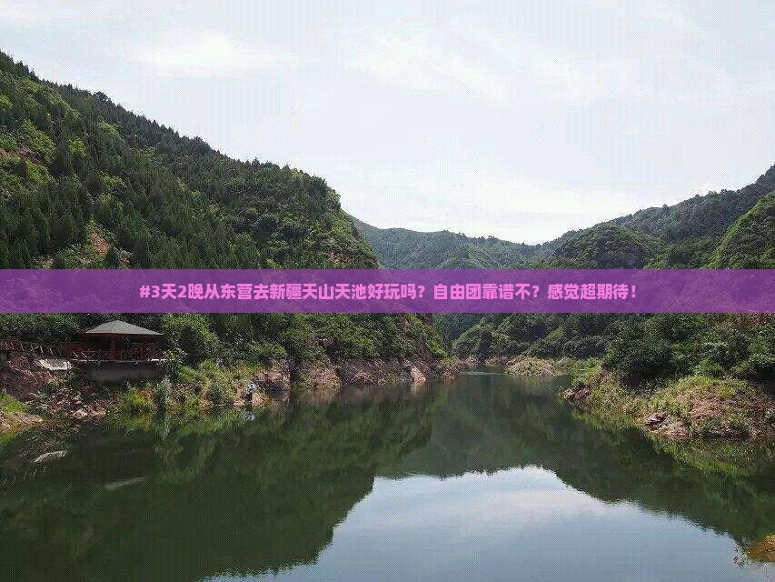 #3天2晚从东营去新疆天山天池好玩吗？自由团靠谱不？感觉超期待！