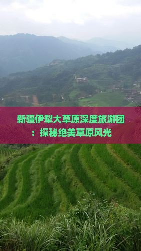 新疆伊犁大草原深度旅游团：探秘绝美草原风光