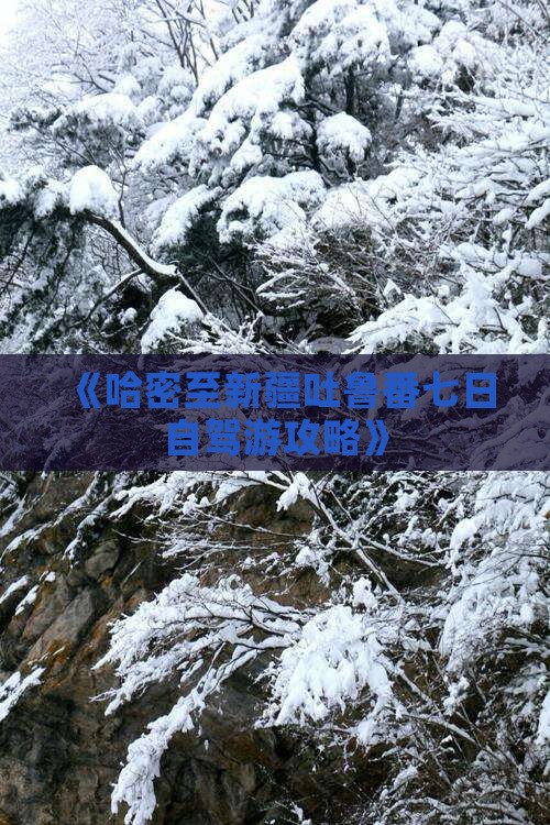 《哈密至新疆吐鲁番七日自驾游攻略》