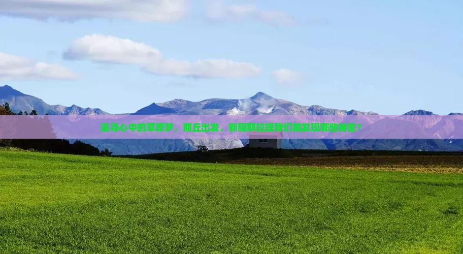 追寻心中的草原梦，商丘出发，新疆那拉提我们能发现哪些秘密？