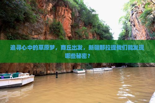追寻心中的草原梦，商丘出发，新疆那拉提我们能发现哪些秘密？