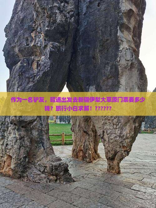 作为一名驴友，昭通出发去新疆伊犁大草原门票要多少钱？旅行小白求解！??????