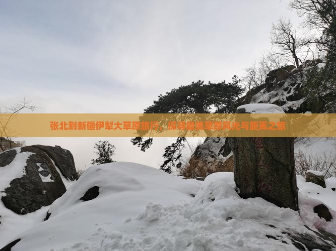 张北到新疆伊犁大草原旅行，探寻最美草原风光与距离之旅