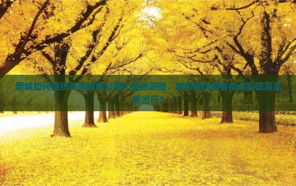 晋城如何组织新疆独库公路大型旅游团，如何解决游客痛点实现高品质出行？