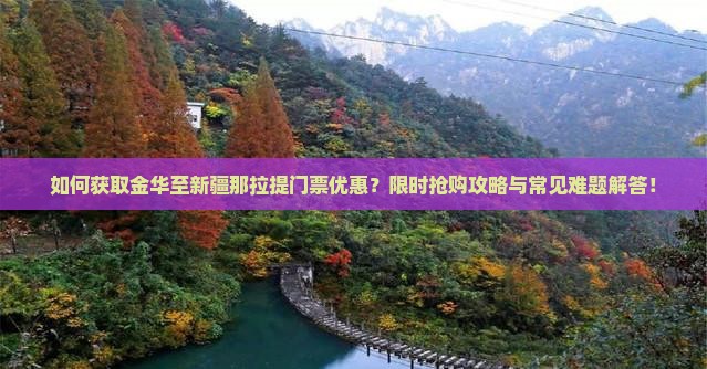 如何获取金华至新疆那拉提门票优惠？限时抢购攻略与常见难题解答！