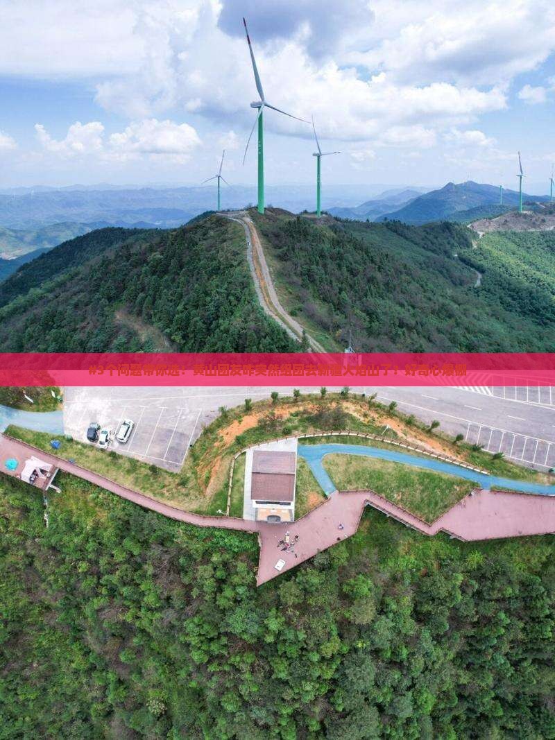 #3个问题带你选！黄山团友咋突然组团去新疆火焰山了？好奇心爆棚