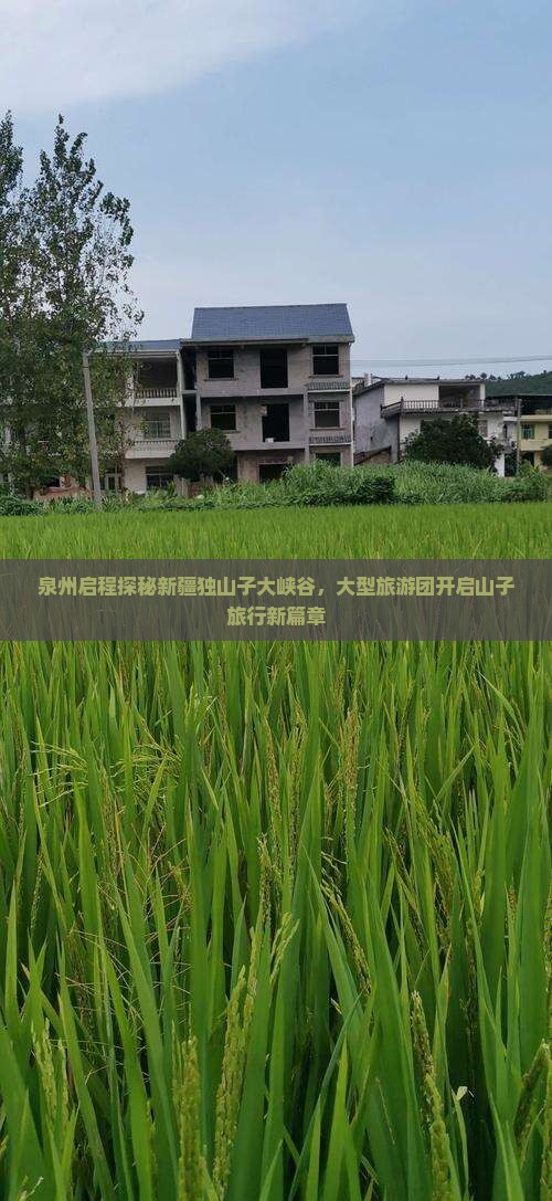 泉州启程探秘新疆独山子大峡谷，大型旅游团开启山子旅行新篇章