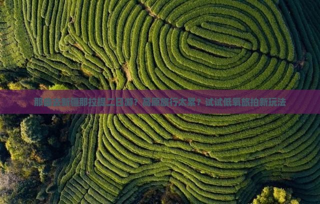 那曲去新疆那拉提二日游？高原旅行太累？试试低氧旅拍新玩法