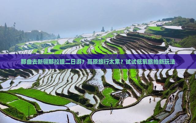 那曲去新疆那拉提二日游？高原旅行太累？试试低氧旅拍新玩法