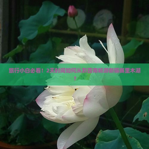 旅行小白必看！2天时间如何从黔西南畅游新疆赛里木湖？
