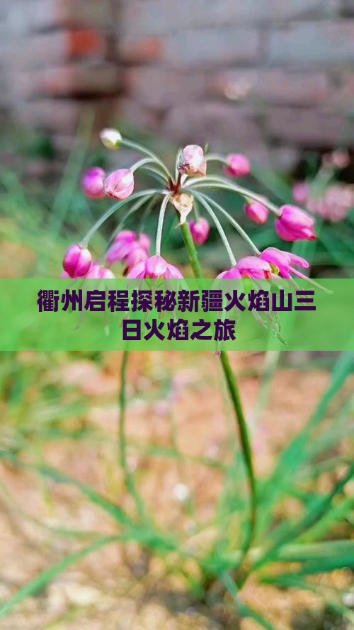 衢州启程探秘新疆火焰山三日火焰之旅