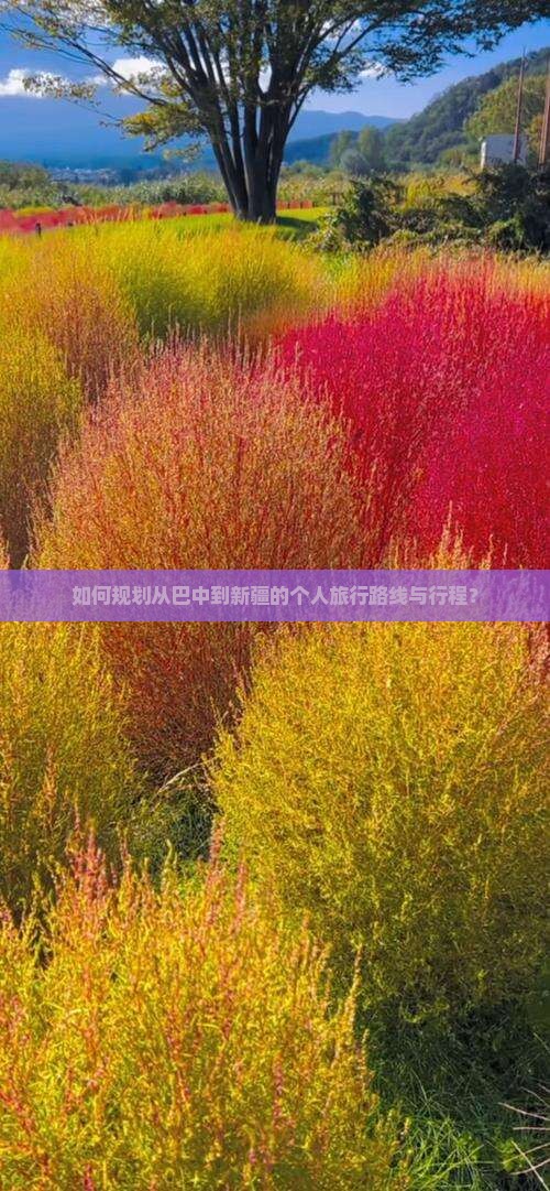 如何规划从巴中到新疆的个人旅行路线与行程？