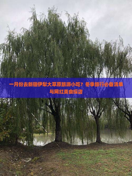 一月份去新疆伊犁大草原旅游小吃？冬季旅行必备清单与网红美食探店