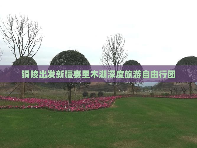 铜陵出发新疆赛里木湖深度旅游自由行团