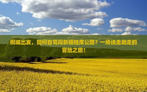 桐城出发，如何自驾闯新疆独库公路？一场说走就走的冒险之旅！