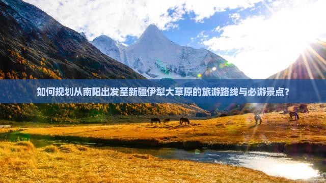 如何规划从南阳出发至新疆伊犁大草原的旅游路线与必游景点？