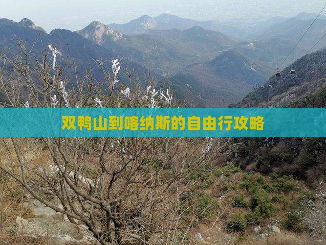 双鸭山到喀纳斯的自由行攻略