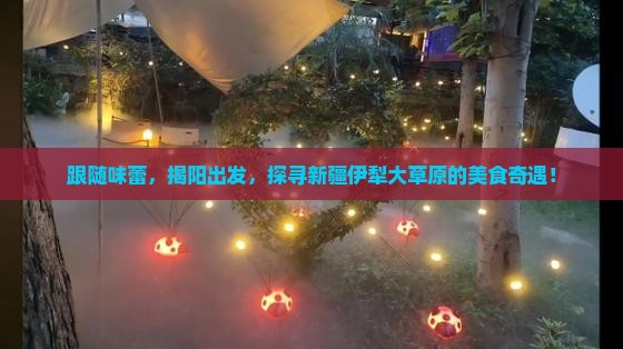 跟随味蕾，揭阳出发，探寻新疆伊犁大草原的美食奇遇！