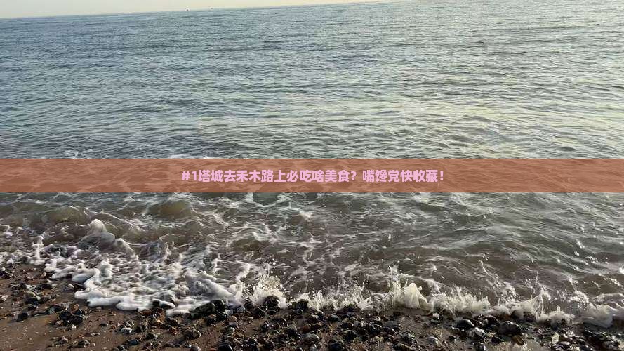 #1塔城去禾木路上必吃啥美食？嘴馋党快收藏！