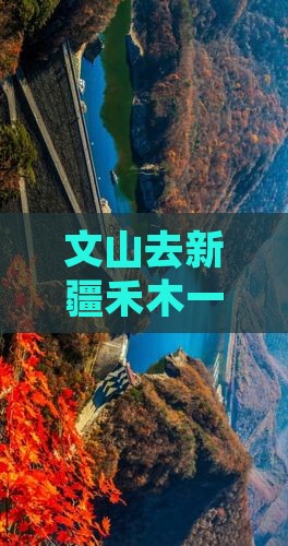 文山去新疆禾木一日游攻略及路线多少钱