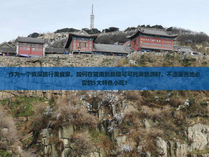 作为一个资深旅行美食家，如何在陇南到新疆可可托海旅游时，不遗漏当地必尝的5大特色小吃？