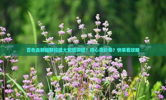 百色去新疆那拉提大型旅游团？担心票价贵？快来看攻略