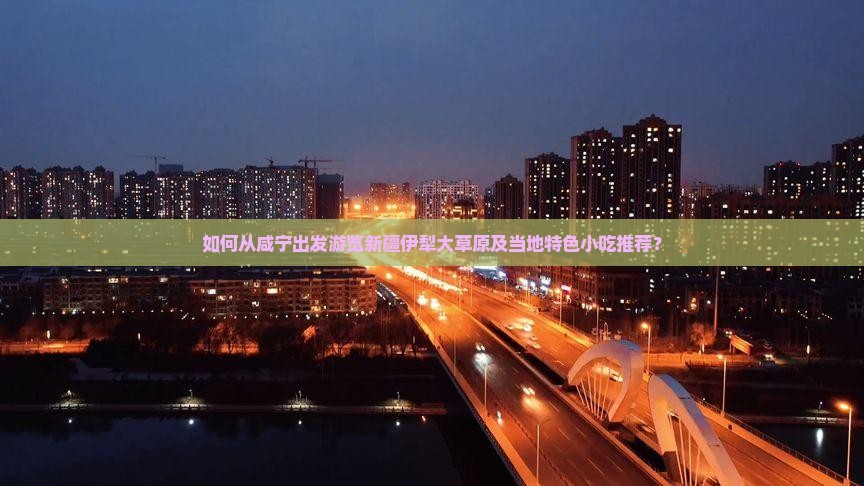 如何从咸宁出发游览新疆伊犁大草原及当地特色小吃推荐？