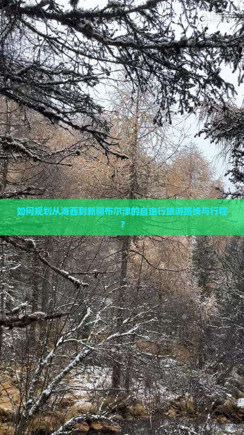 如何规划从海西到新疆布尔津的自由行旅游路线与行程？