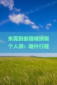 东莞到新疆喀纳斯个人游：喀什行程及票价一览