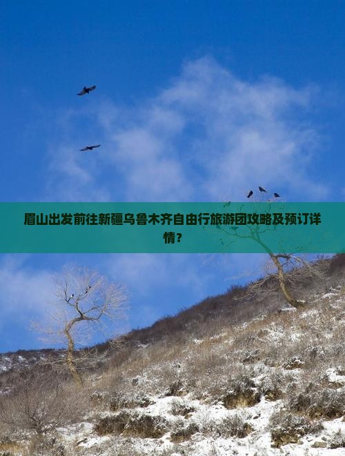 眉山出发前往新疆乌鲁木齐自由行旅游团攻略及预订详情？