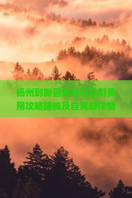扬州到新疆禾木五日游费用攻略路线及自驾游详情