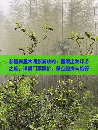 新疆赛里木湖旅游攻略：醴陵出发环游之旅，详解门票票价、景点路线与旅行社服务