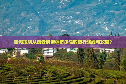 如何规划从泰安到新疆布尔津的旅行路线与攻略？
