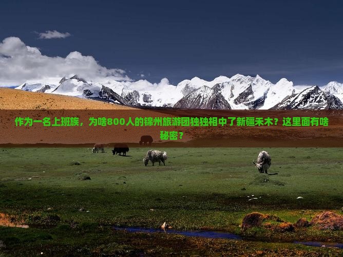作为一名上班族,为啥800人的锦州旅游团独独相中了新疆禾木?这里面有啥秘密? 作为一名上班族,为啥800人的锦州旅游团独独相中了新疆禾木?这里面有啥秘密?