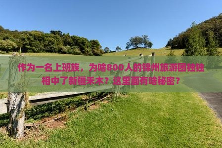 作为一名上班族,为啥800人的锦州旅游团独独相中了新疆禾木?这里面有啥秘密? 作为一名上班族,为啥800人的锦州旅游团独独相中了新疆禾木?这里面有啥秘密?