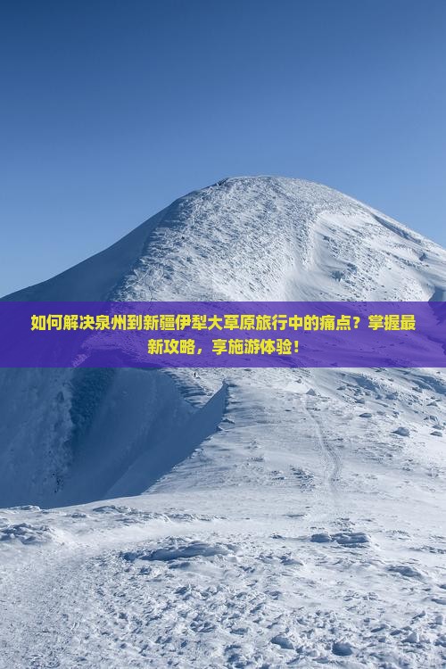 如何解决泉州到新疆伊犁大草原旅行中的痛点？掌握最新攻略，享施游体验！