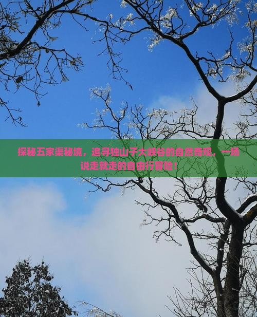 探秘五家渠秘境，追寻独山子大峡谷的自然奇观，一场说走就走的自由行冒险！