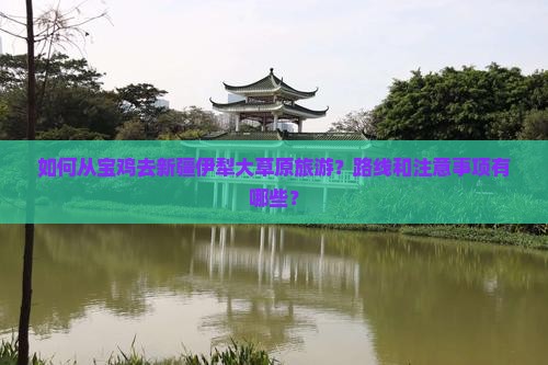 如何从宝鸡去新疆伊犁大草原旅游？路线和注意事项有哪些？