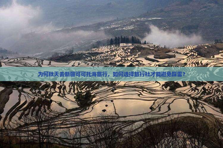 为何秋天去新疆可可托海旅行，如何选择旅行社才能避免踩雷？