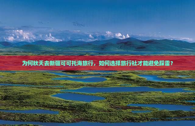 为何秋天去新疆可可托海旅行，如何选择旅行社才能避免踩雷？