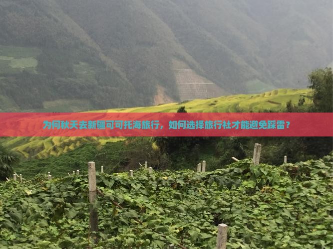 为何秋天去新疆可可托海旅行，如何选择旅行社才能避免踩雷？