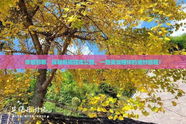 穿越邯郸，探秘新疆独库公路，一路美食相伴的绝妙旅程！
