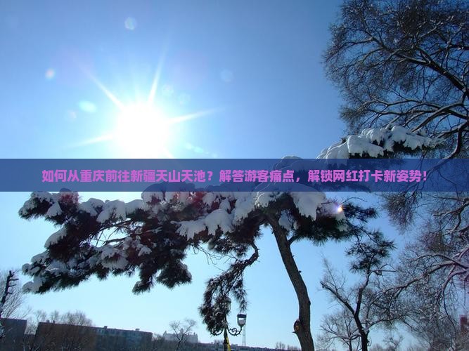 如何从重庆前往新疆天山天池？解答游客痛点，解锁网红打卡新姿势！