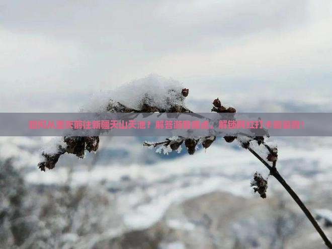 如何从重庆前往新疆天山天池？解答游客痛点，解锁网红打卡新姿势！