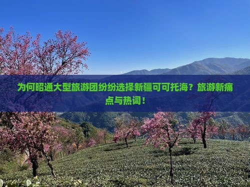 为何昭通大型旅游团纷纷选择新疆可可托海？旅游新痛点与热词！