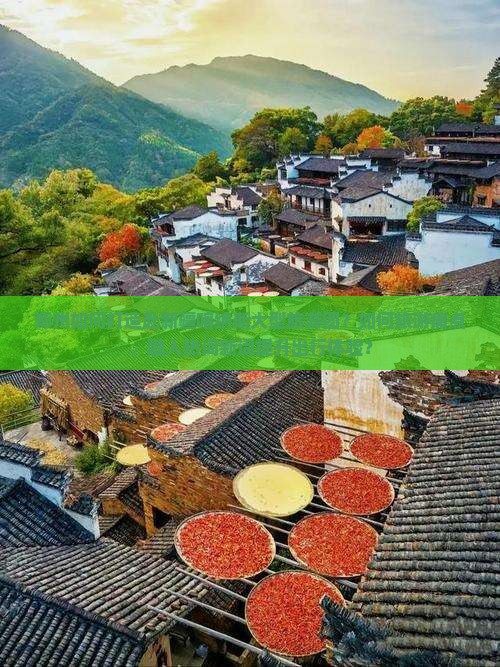 郑州如何打造赴新疆喀纳斯大型旅游团？如何旅游痛点，融入热词新词提升出行体验？
