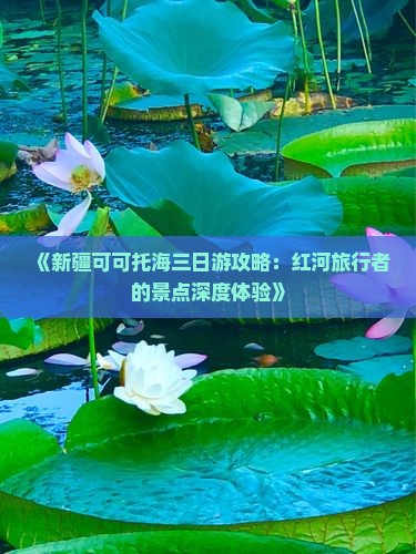 《新疆可可托海三日游攻略：红河旅行者的景点深度体验》