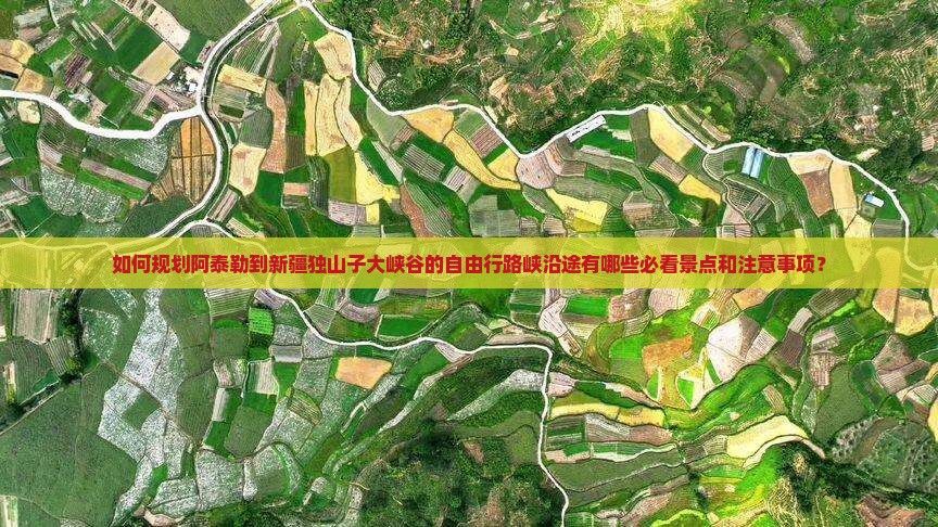 如何规划阿泰勒到新疆独山子大峡谷的自由行路峡沿途有哪些必看景点和注意事项？