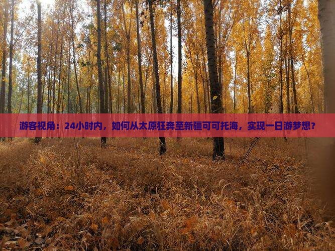 游客视角：24小时内，如何从太原狂奔至新疆可可托海，实现一日游梦想？